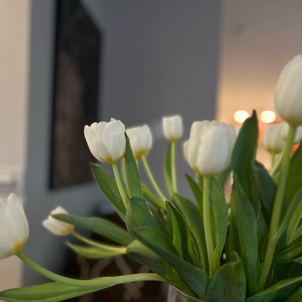 Meet your Posher, Erica